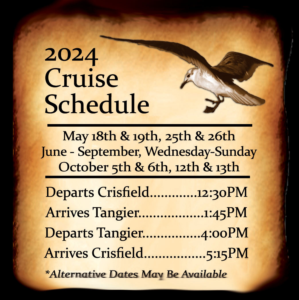 TIC Cruise schedule, 2024